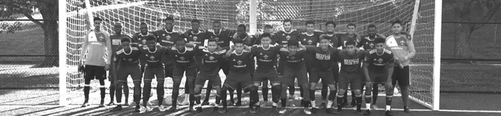 Soccer team posing in front of goal