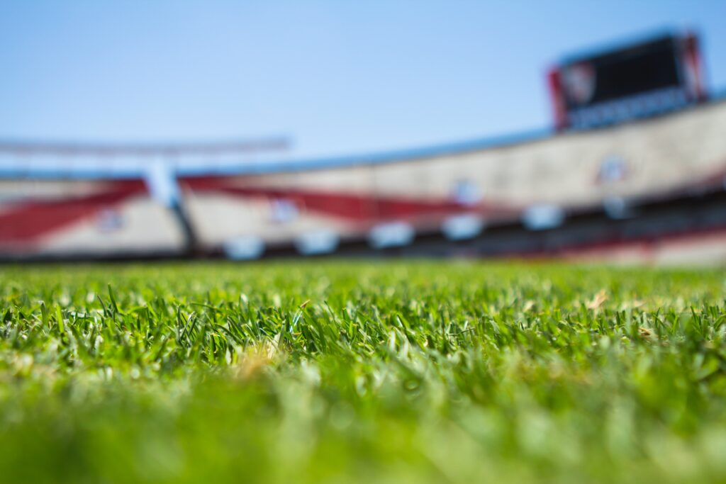 Close-up of stadium grass with blurred stands